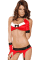 �N���X�}�X�E�T���^�R�X�`���[�� LFP117100