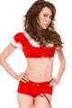 �N���X�}�X�E�T���^�R�X�`���[�� LFP336033