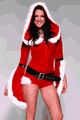 �N���X�}�X�E�T���^�R�X�`���[�� LFP557245