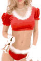 �N���X�}�X�E�T���^�R�X�`���[�� LFPFP212