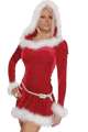 �N���X�}�X�E�T���^�R�X�`���[�� LFPFPDRS29