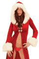 �N���X�}�X�E�T���^�R�X�`���[�� LFPFPH260