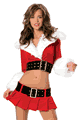 �N���X�}�X�E�T���^�R�X�`���[�� LJV360SC