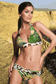 �����u�����h/�J�^���O Aguaclara LACVIR41-17