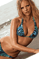 �����u�����h/�J�^���O Sauvage LSV2892MER-2766MER