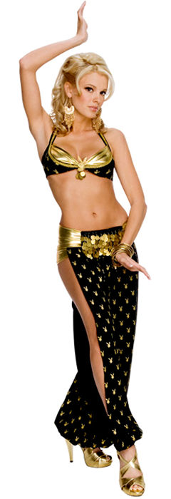 コスチューム LRU889698 Playboy Harem Girl Costume