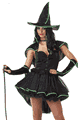 コスチューム LCC01221 Wicked Witch Costume