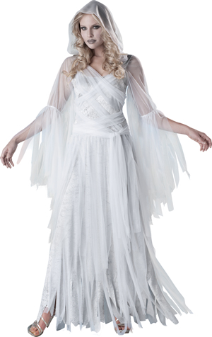 コスチューム LIC3063 Haunting Beauty Costume