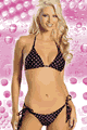 �����u�����h/�J�^���O J.Valentine LJV105-06TP-POLKA