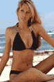 �����u�����h/�J�^���O Blue Sky LBSTT-DR803-CB