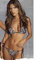 水着通販 Ritchie Swimwear LRCR3220-3207
