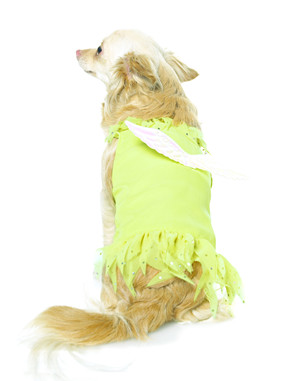 コスチューム LLA21013 Puppy Sprite Costume