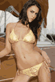 �����u�����h/�J�^���O Chica Rica LCR109-TRI-TSS