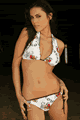 �����u�����h/�J�^���O Chica Rica LCR89-HAL-TSS